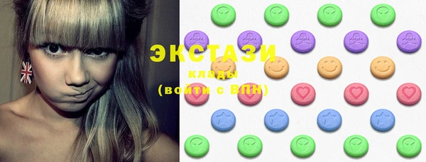 ECSTASY Покров