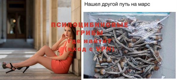 ECSTASY Покров