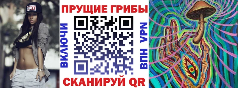 где продают наркотики Данков Псилоцибиновые грибы Psilocybine cubensis
